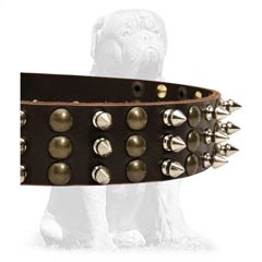 Non-rusting leather collar