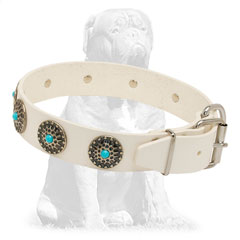 Durable daily collar with blue stones