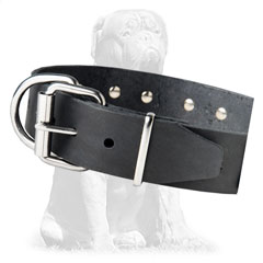 Durable leather collar with strong buckle