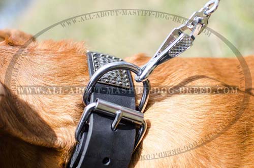 Non-rusting leather collar