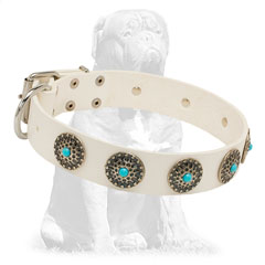 Strong leather collar with studs