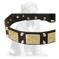 Strong black leather dog collar