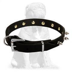 Reliable leather collar