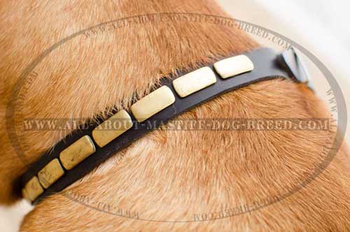 Exclusively handcrafted leather collar for MastiffMastiff
