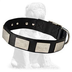 Nylon collar with rustproof plates