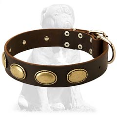 Durable  leather collar with vintage elements