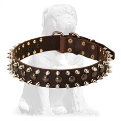 Adorned leather dog collar