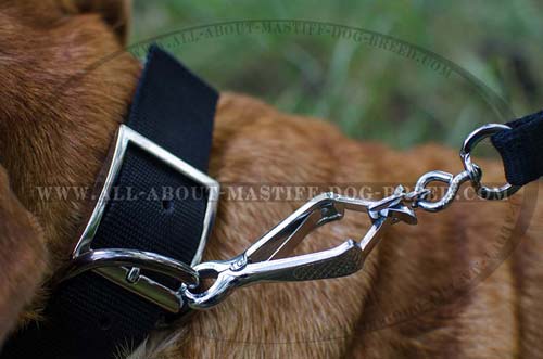 Nickel plated nylon collar