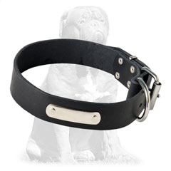 Leather collar with strong hardware 