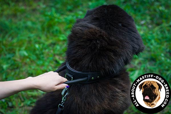 No-rubbing Mastiff leather collar