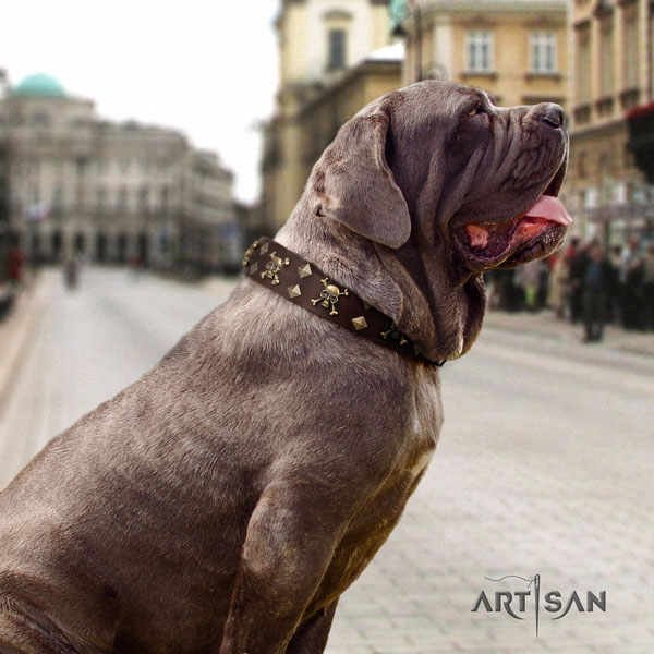 Mastino Napoletano easy wearing natural genuine leather collar with embellishments for your four-legged friend