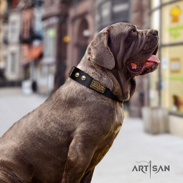 Mastino Napoletano awesome full grain natural leather collar with decorations for your doggie