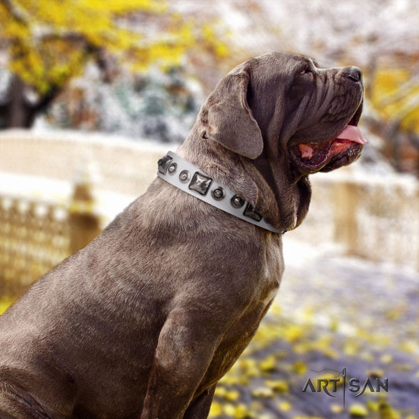 Mastino Napoletano impressive leather collar with decorations for your four-legged friend