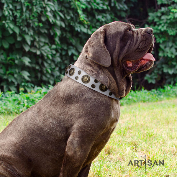 Mastino Napoletano easy adjustable full grain leather collar with studs for your canine