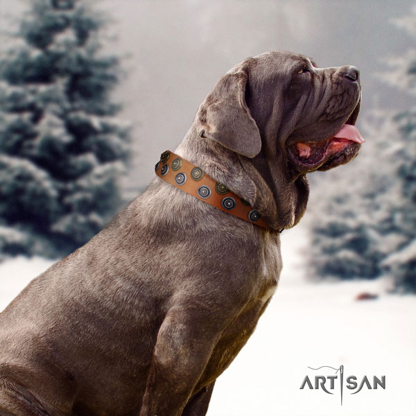 Mastino Napoletano awesome natural genuine leather collar with adornments for your dog