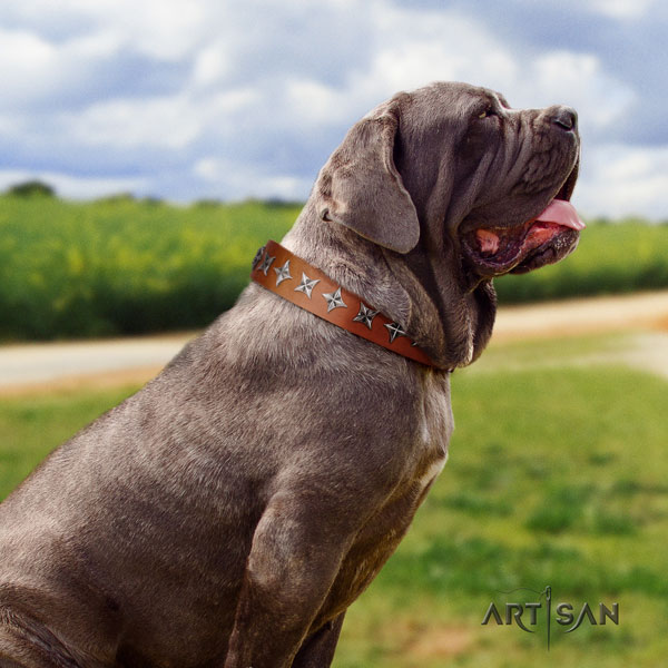 Mastino Napoletano impressive natural genuine leather collar with decorations for your pet