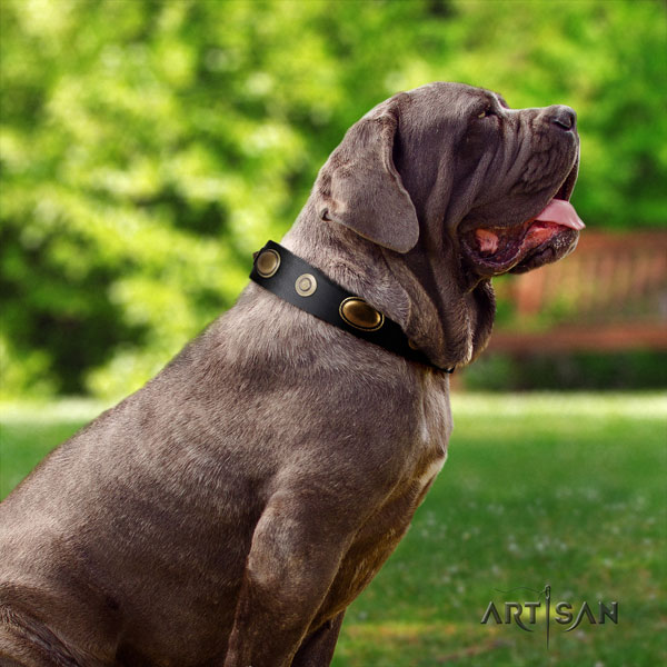 Mastino Napoletano stunning leather collar with decorations for your dog