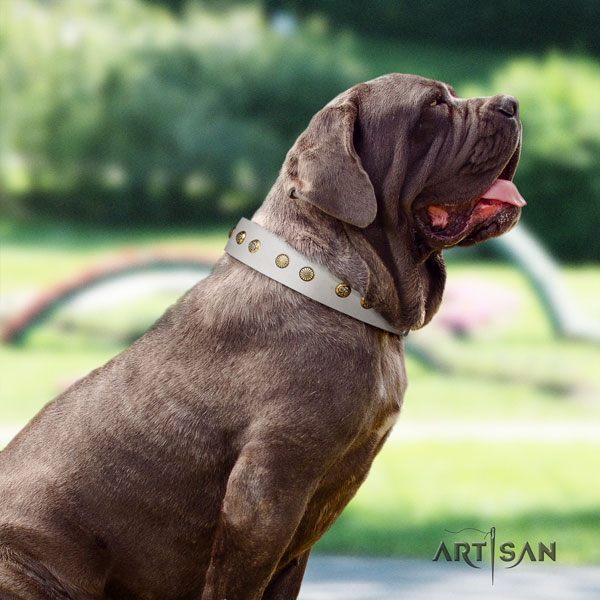 Mastino Napoletano perfect fit full grain leather collar with studs for your doggie
