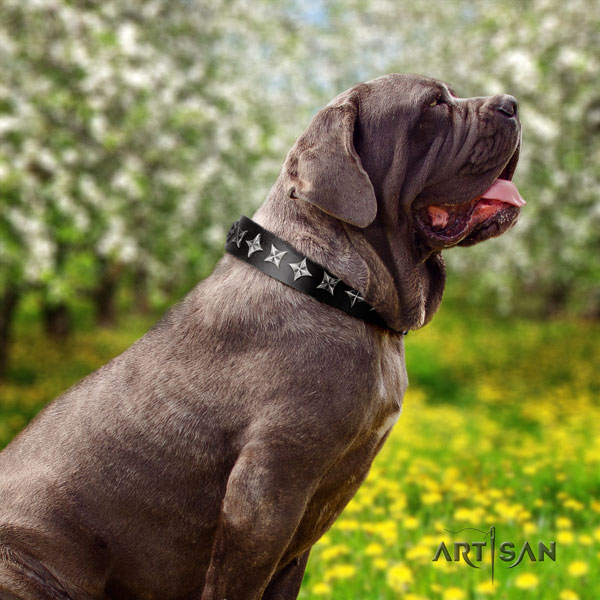 Mastino Napoletano remarkable natural genuine leather collar with decorations for your pet