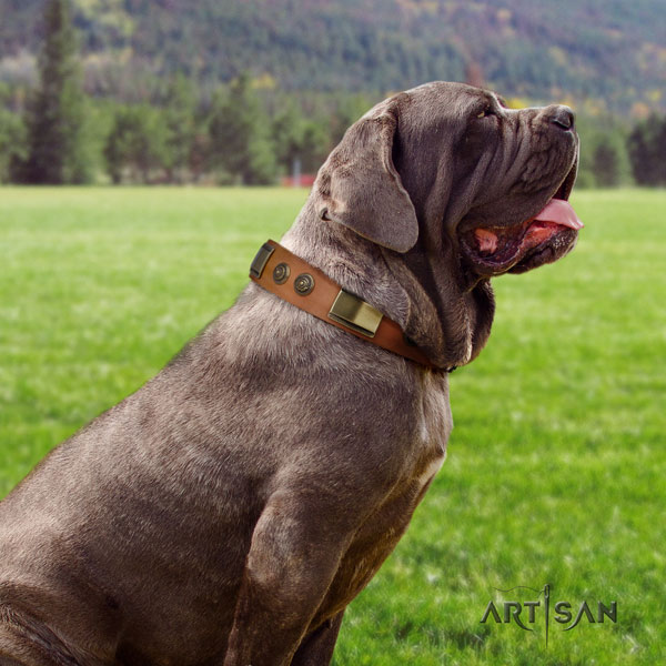 Mastino Napoletano easy to adjust natural genuine leather collar with adornments for your pet