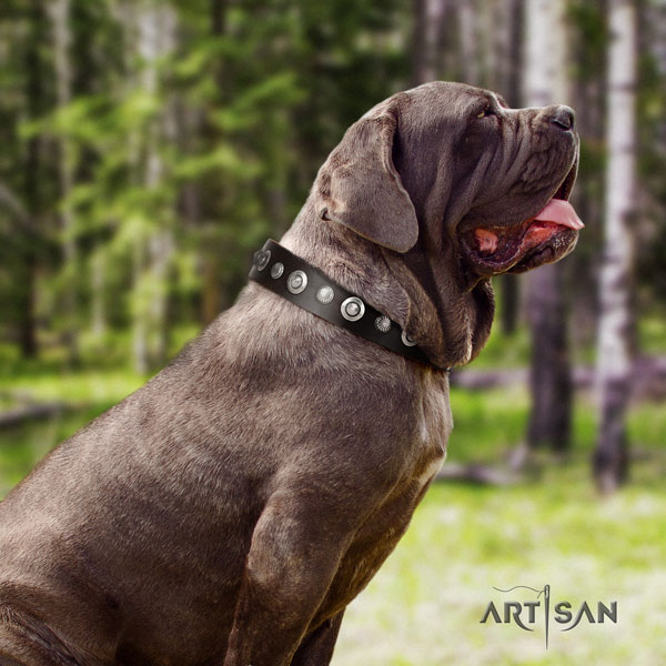 Mastino Napoletano comfortable natural genuine leather collar with decorations for your four-legged friend