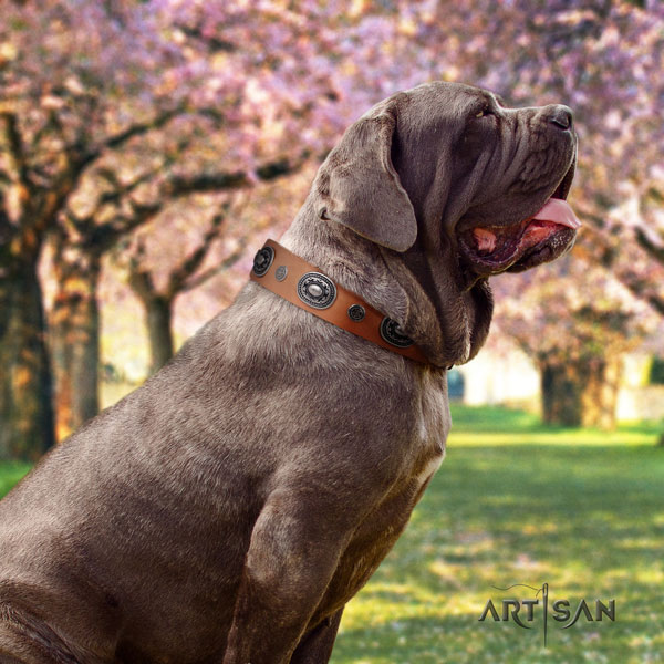 Mastino Napoletano fashionable full grain leather collar with decorations for your dog