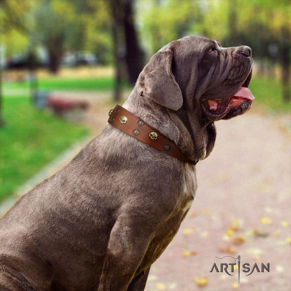 Mastino Napoletano stylish design genuine leather collar with embellishments for your pet