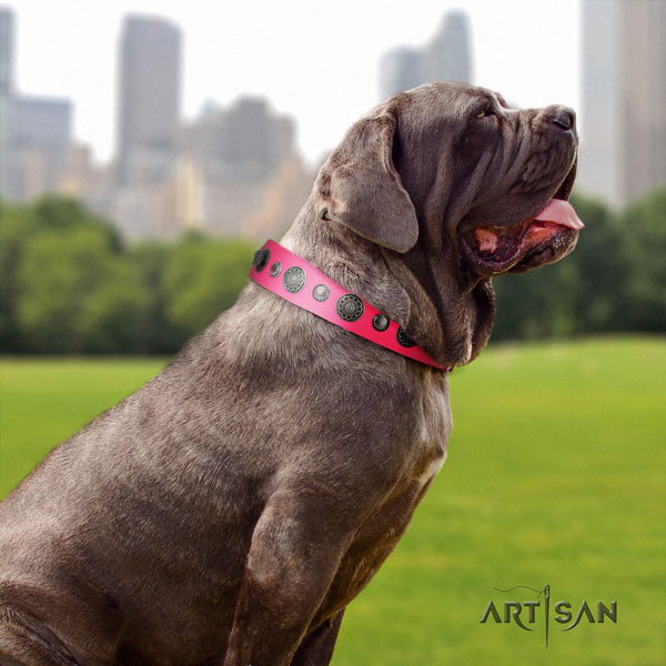 Mastino Napoletano significant full grain genuine leather collar with decorations for your pet