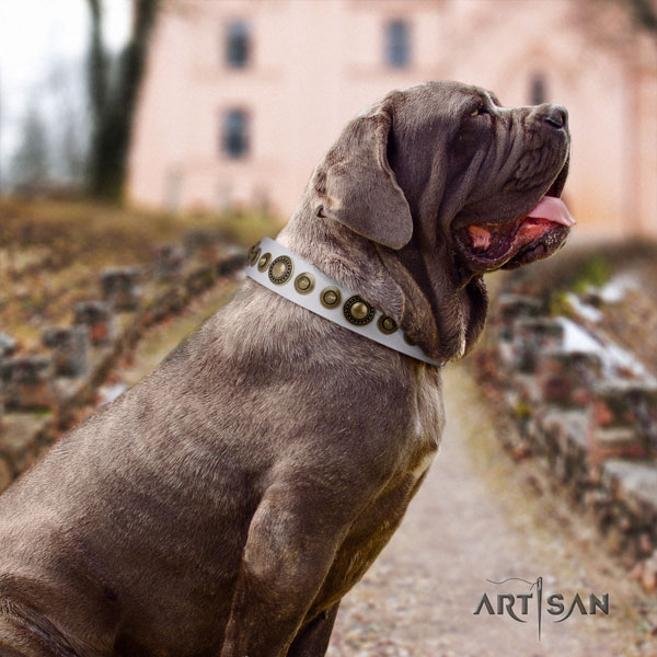 Mastino Napoletano easy to adjust leather collar with embellishments for your four-legged friend