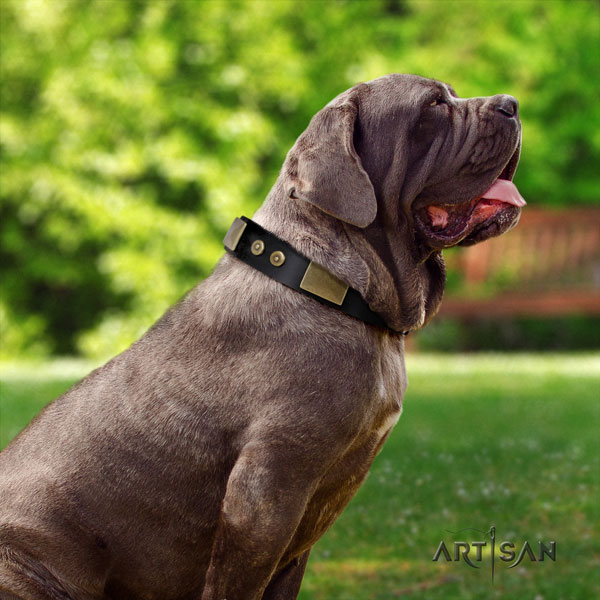 Mastino Napoletano exquisite natural genuine leather collar with studs for your canine