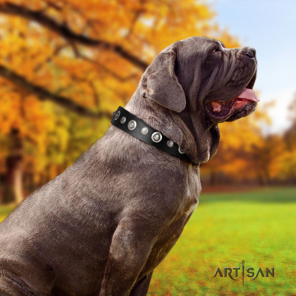 Mastino Napoletano designer full grain leather collar with decorations for your pet