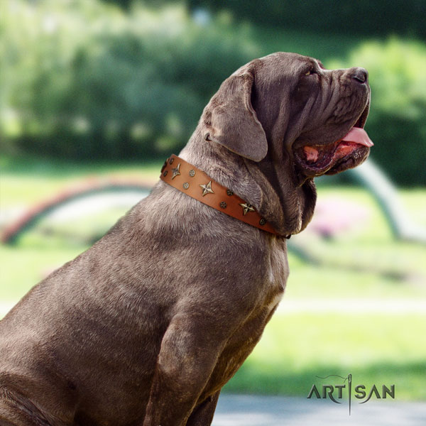 Mastino Napoletano handmade full grain genuine leather collar with adornments for your doggie