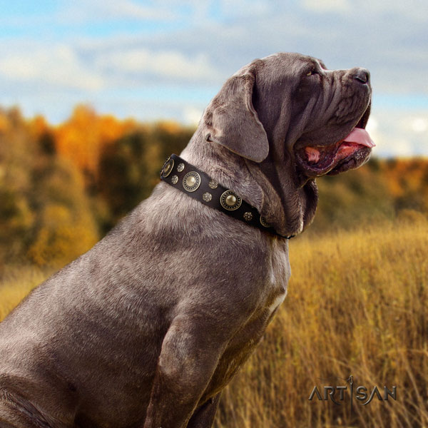 Mastino Napoletano unusual full grain genuine leather collar with decorations for your four-legged friend