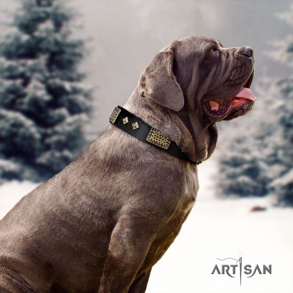 Mastino Napoletano fine quality genuine leather collar with adornments for your doggie