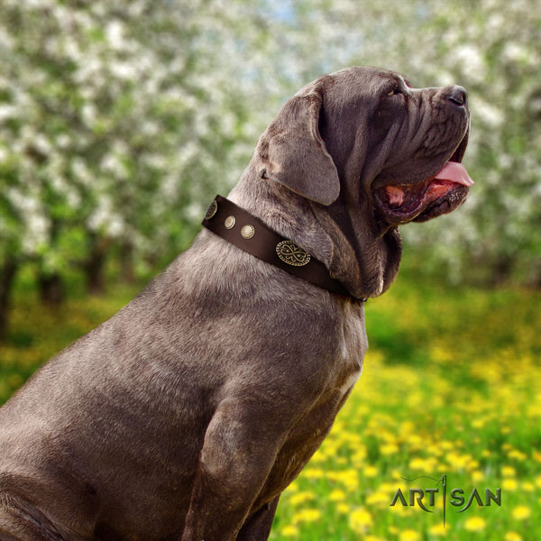 Mastino Napoletano fine quality natural genuine leather collar with adornments for your pet