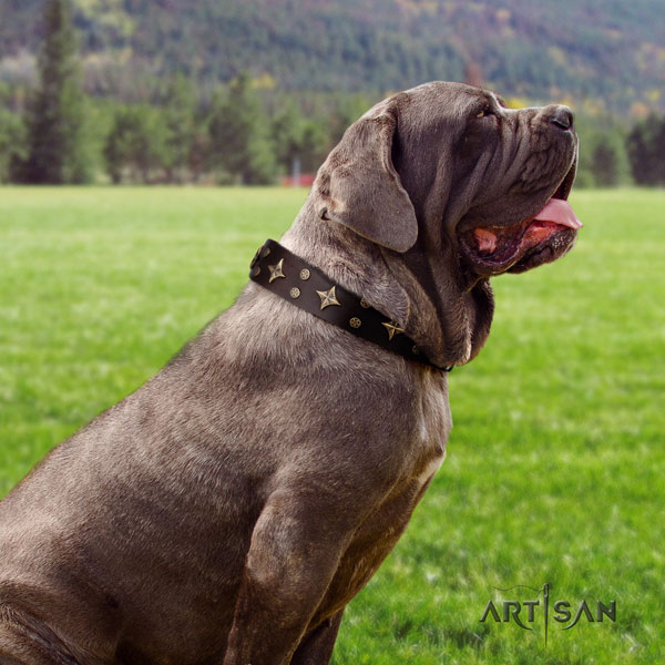 Mastino Napoletano impressive leather collar with studs for your doggie