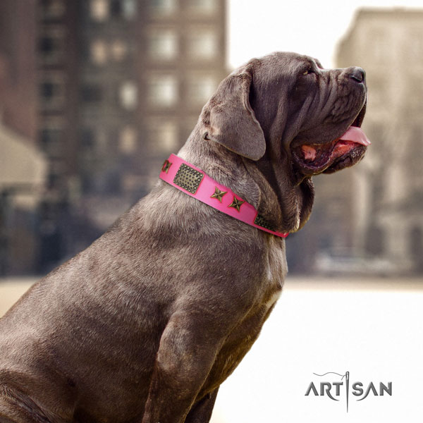 Mastino Napoletano convenient full grain natural leather collar with embellishments for your doggie