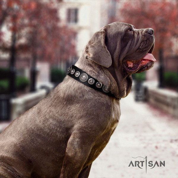 Mastino Napoletano easy wearing full grain genuine leather collar with adornments for your dog