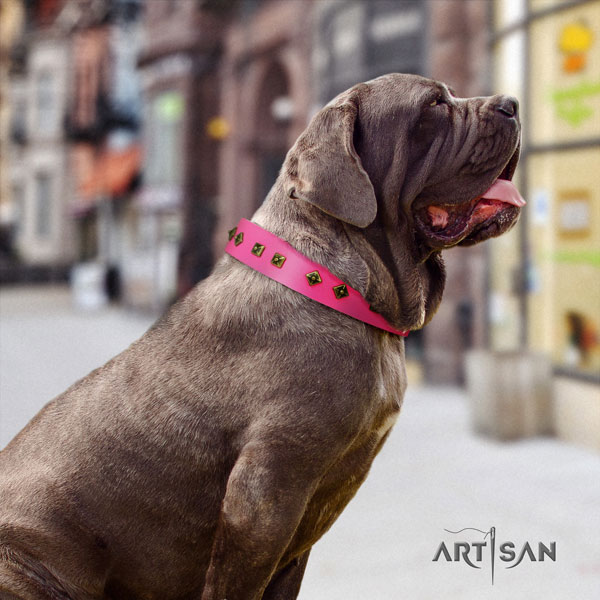 Mastino Napoletano stylish design leather collar with studs for your canine