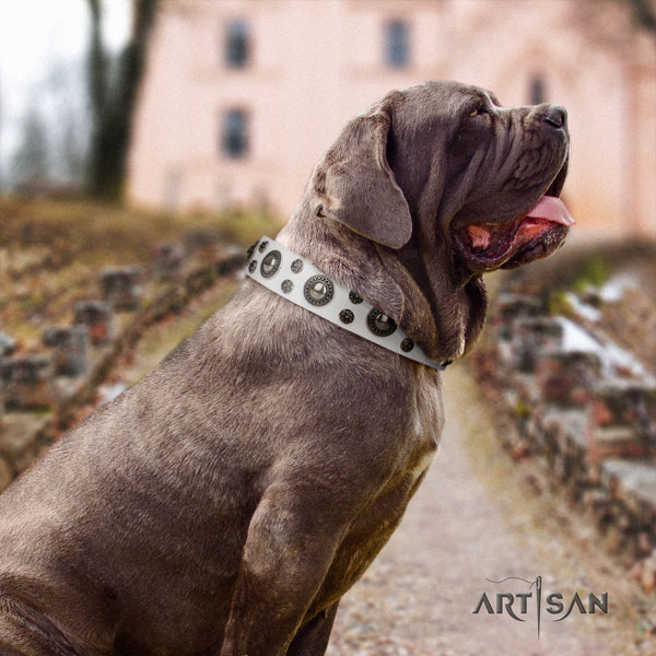Mastino Napoletano fine quality full grain natural leather collar with embellishments for your dog
