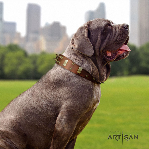 Mastino Napoletano adjustable full grain natural leather collar with embellishments for your four-legged friend
