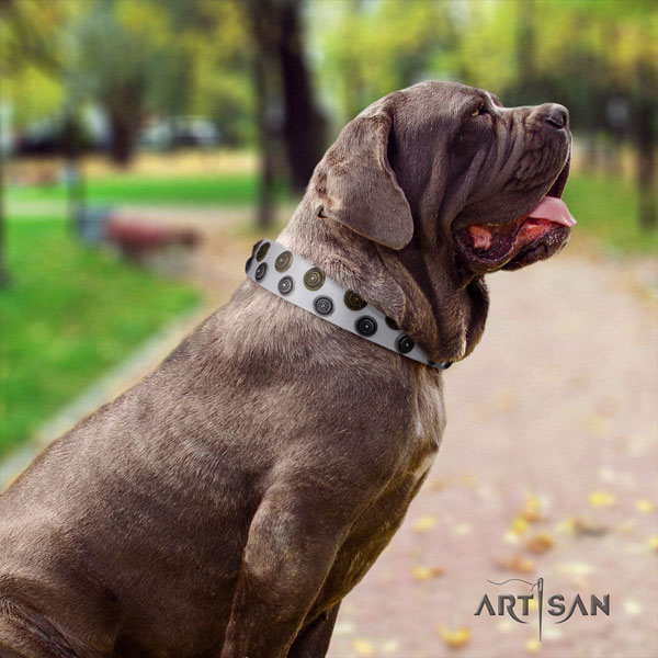 Mastino Napoletano extraordinary natural genuine leather collar with adornments for your dog
