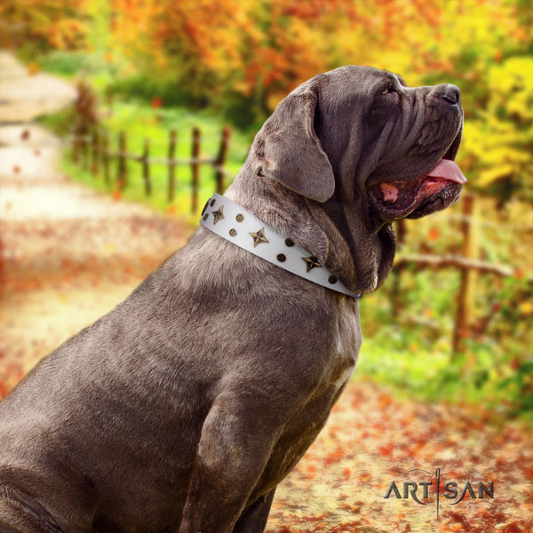 Mastino Napoletano exquisite genuine leather collar with adornments for your four-legged friend
