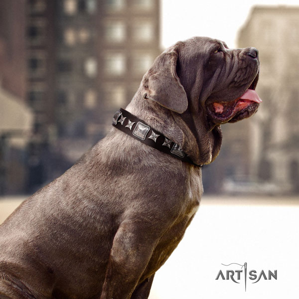 Mastino Napoletano designer full grain genuine leather collar with embellishments for your four-legged friend