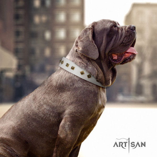 Mastino Napoletano remarkable full grain leather collar with embellishments for your pet