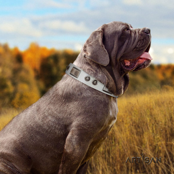 Mastino Napoletano amazing leather collar with embellishments for your canine