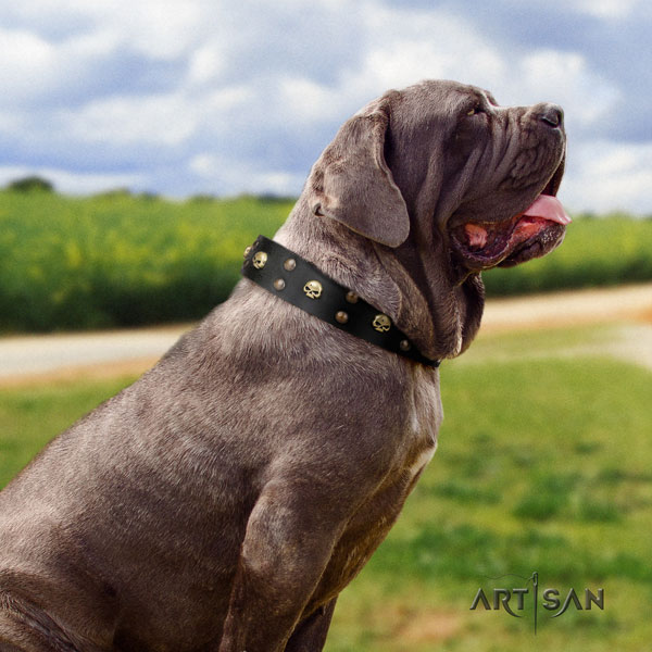 Mastino Napoletano extraordinary genuine leather collar with adornments for your pet