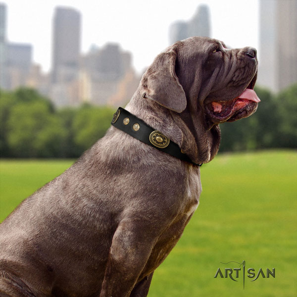 Mastino Napoletano amazing full grain genuine leather collar with embellishments for your canine