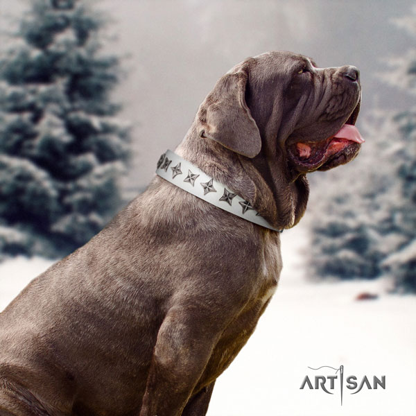 Mastino Napoletano stylish genuine leather collar with decorations for your doggie