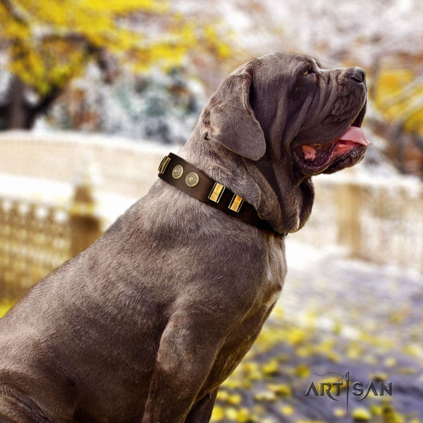 Mastino Napoletano extraordinary full grain genuine leather collar with studs for your pet